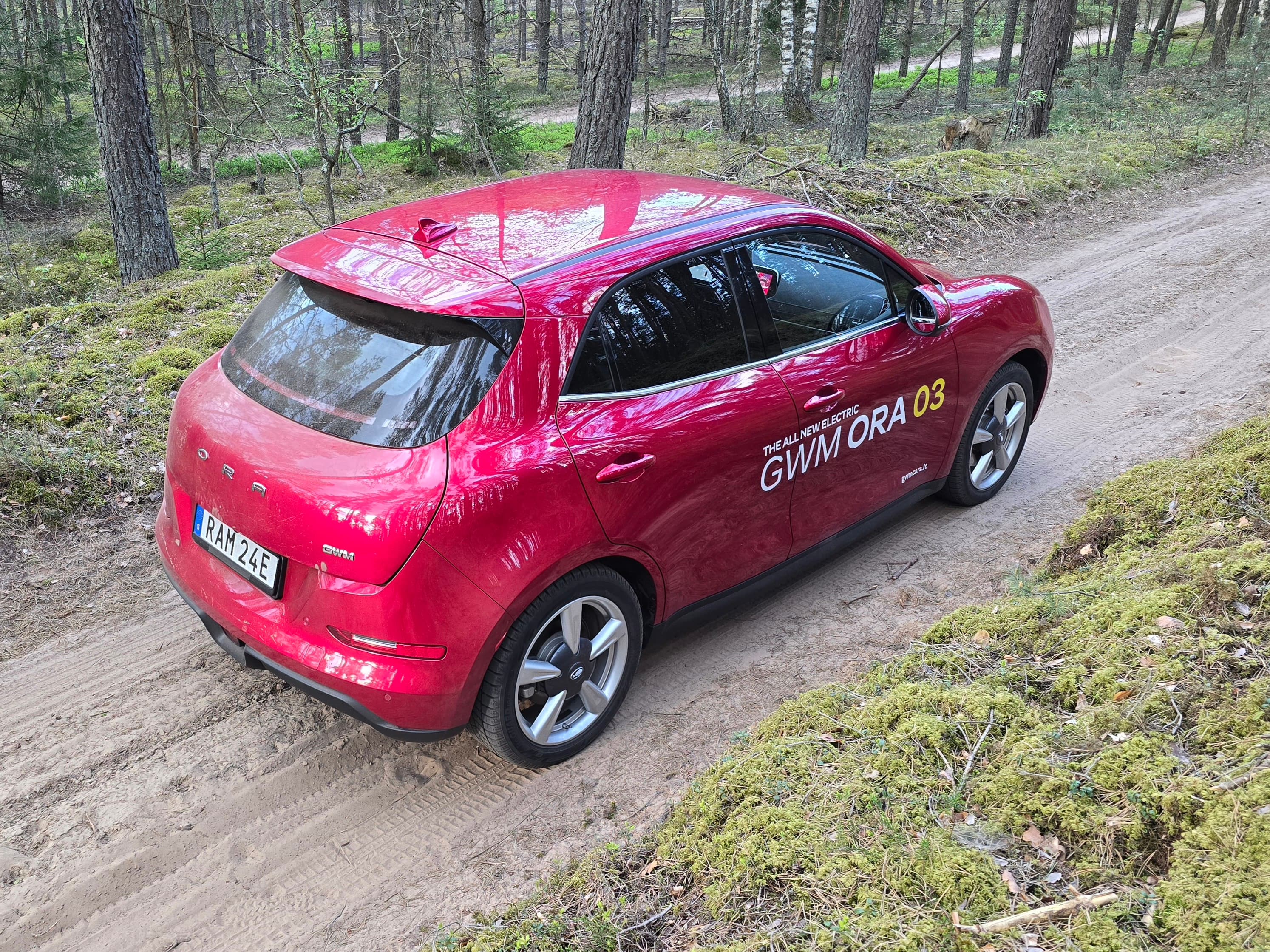 kebulo remonto ir dazymo darbai Vilniuje